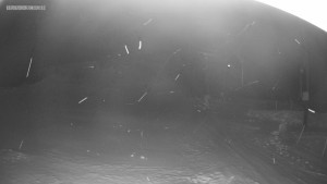 Skiareál Kouty nad Desnou - Sjezdovka K Snowparku - 11.1.2026 v 04:15 Skiareál Kouty nad Desnou - Sjezdovka K Snowparku - 11.1.2026 v 04:15