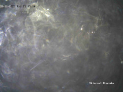 Sjezdovka, Vernířovice