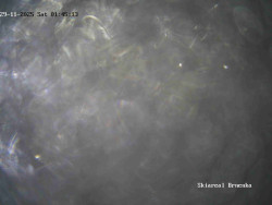 Sjezdovka, Vernířovice