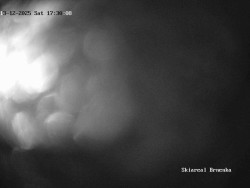 Sjezdovka, Vernířovice