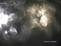 Sjezdovka, Vernířovice