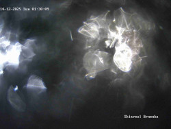 Sjezdovka, Vernířovice