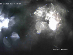 Sjezdovka, Vernířovice