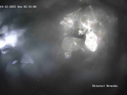 Sjezdovka, Vernířovice