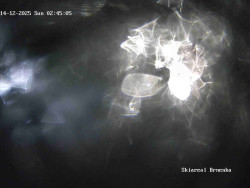 Sjezdovka, Vernířovice