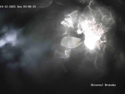 Sjezdovka, Vernířovice