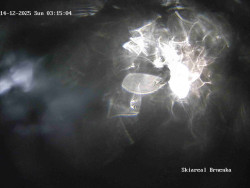 Sjezdovka, Vernířovice