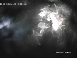 Sjezdovka, Vernířovice