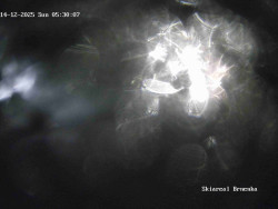 Sjezdovka, Vernířovice