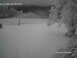 Sjezdovka, Vernířovice