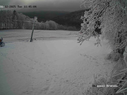 Sjezdovka, Vernířovice