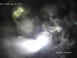 Sjezdovka, Vernířovice