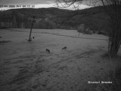 Sjezdovka, Vernířovice