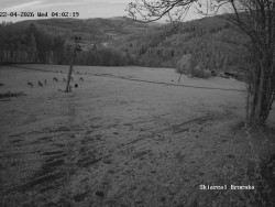 Sjezdovka, Vernířovice