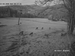 Sjezdovka, Vernířovice