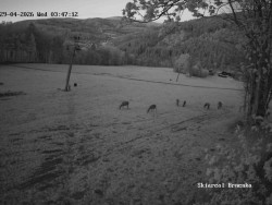 Sjezdovka, Vernířovice