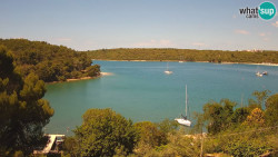 Banjole