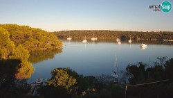Banjole