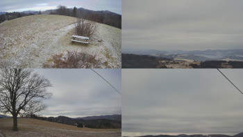 Sdružený snímek Bludný