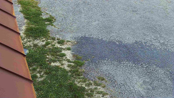 Nástup na běžecké tratě