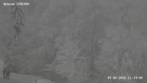 Čerchov - Rozhledna, Panorama - 1.2.2026 v 11:15