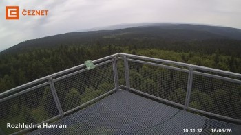 Hora Havran