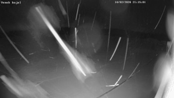 Letiště Kotvrdovice