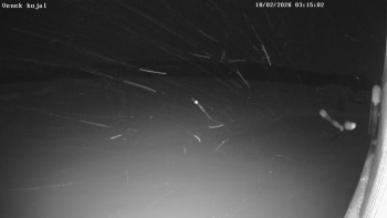 Letiště Kotvrdovice