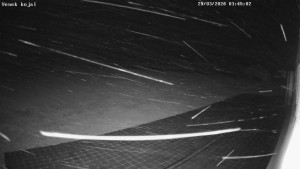 Letiště Kotvrdovice - Letiště, Kojál - 29.3.2026 v 03:45