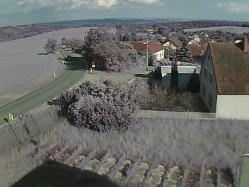 Obec Ježkovice
