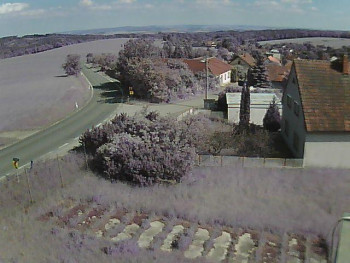 Obec Ježkovice