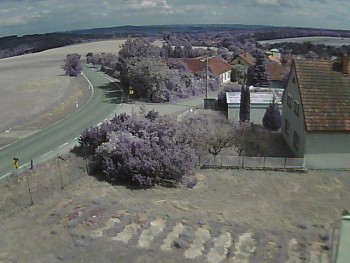 Obec Ježkovice