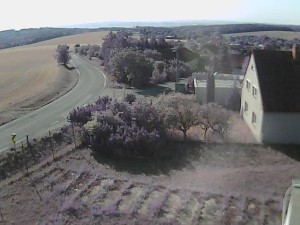 Gemeinde Ježkovice - Eingang ins Dorf von Norden - 31.7.2026 v 08:45 Gemeinde Ježkovice - Eingang ins Dorf von Norden - 31.7.2026 v 08:45