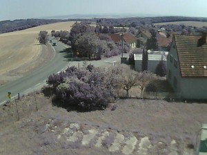 Gemeinde Ježkovice - Eingang ins Dorf von Norden - 31.7.2026 v 13:45 Gemeinde Ježkovice - Eingang ins Dorf von Norden - 31.7.2026 v 13:45