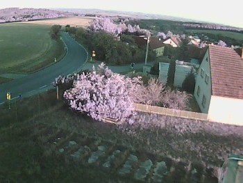 Obec Ježkovice