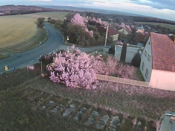 Obec Ježkovice