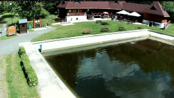 Bazén