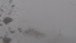 Chopok panorama, Vysoké Tatry