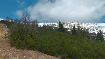 Lyžařský areál Jasná