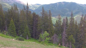 Lyžařský areál Jasná