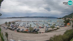 Marina Orebić, Korčula