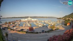 Marina Orebić, Korčula