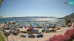 Marina Orebić, Korčula