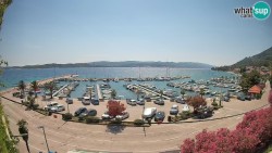 Marina Orebić, Korčula