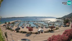 Marina Orebić, Korčula