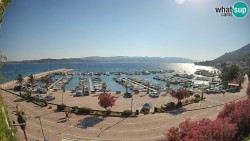 Marina Orebić, Korčula