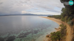 Zlatni rat