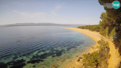 Zlatni rat