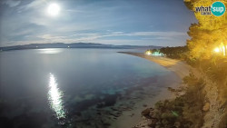Zlatni rat