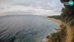 Zlatni rat